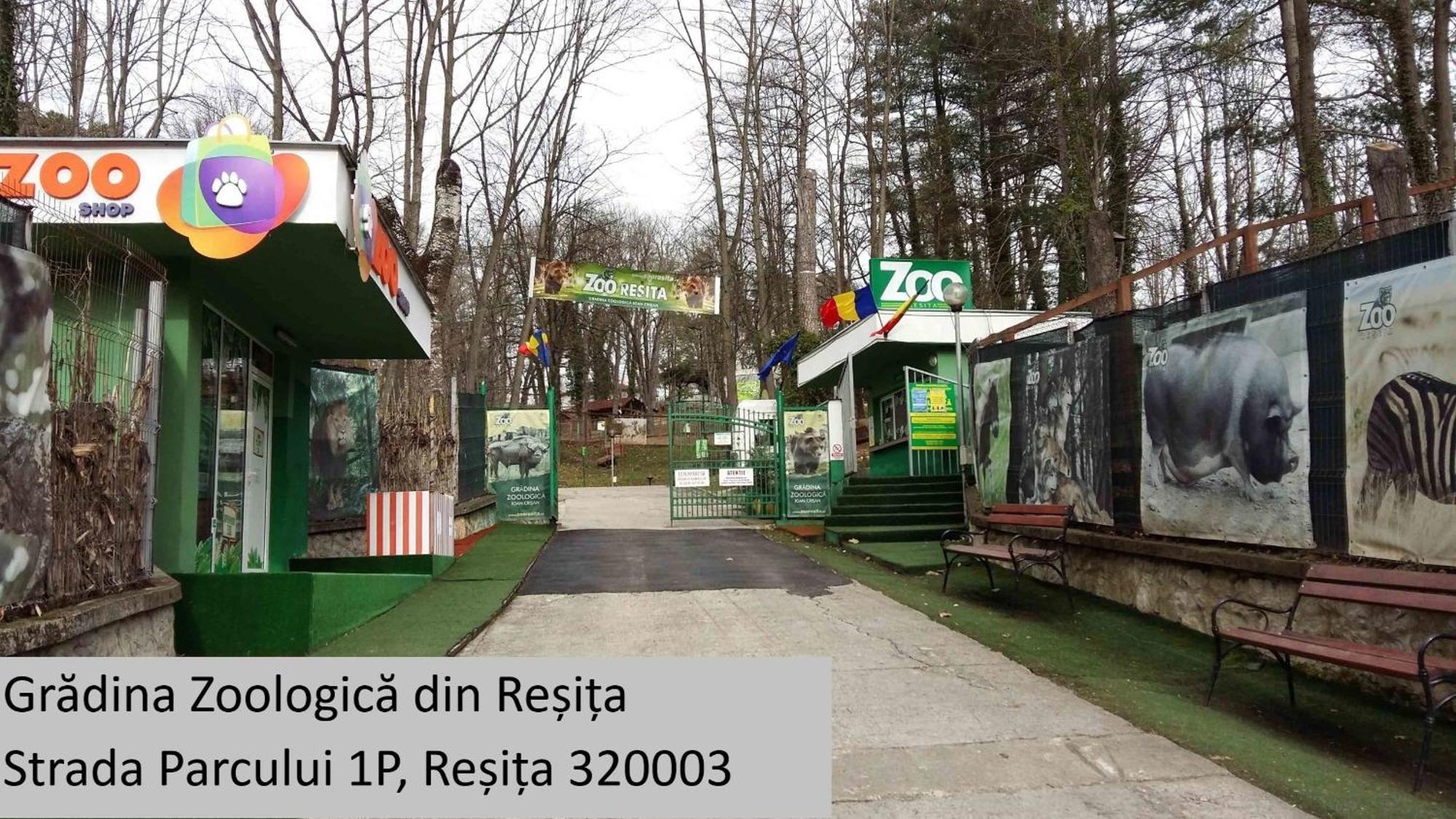 Апартаменты Casa Rusu -Victoria-Self Check In-24H Решица Экстерьер фото
